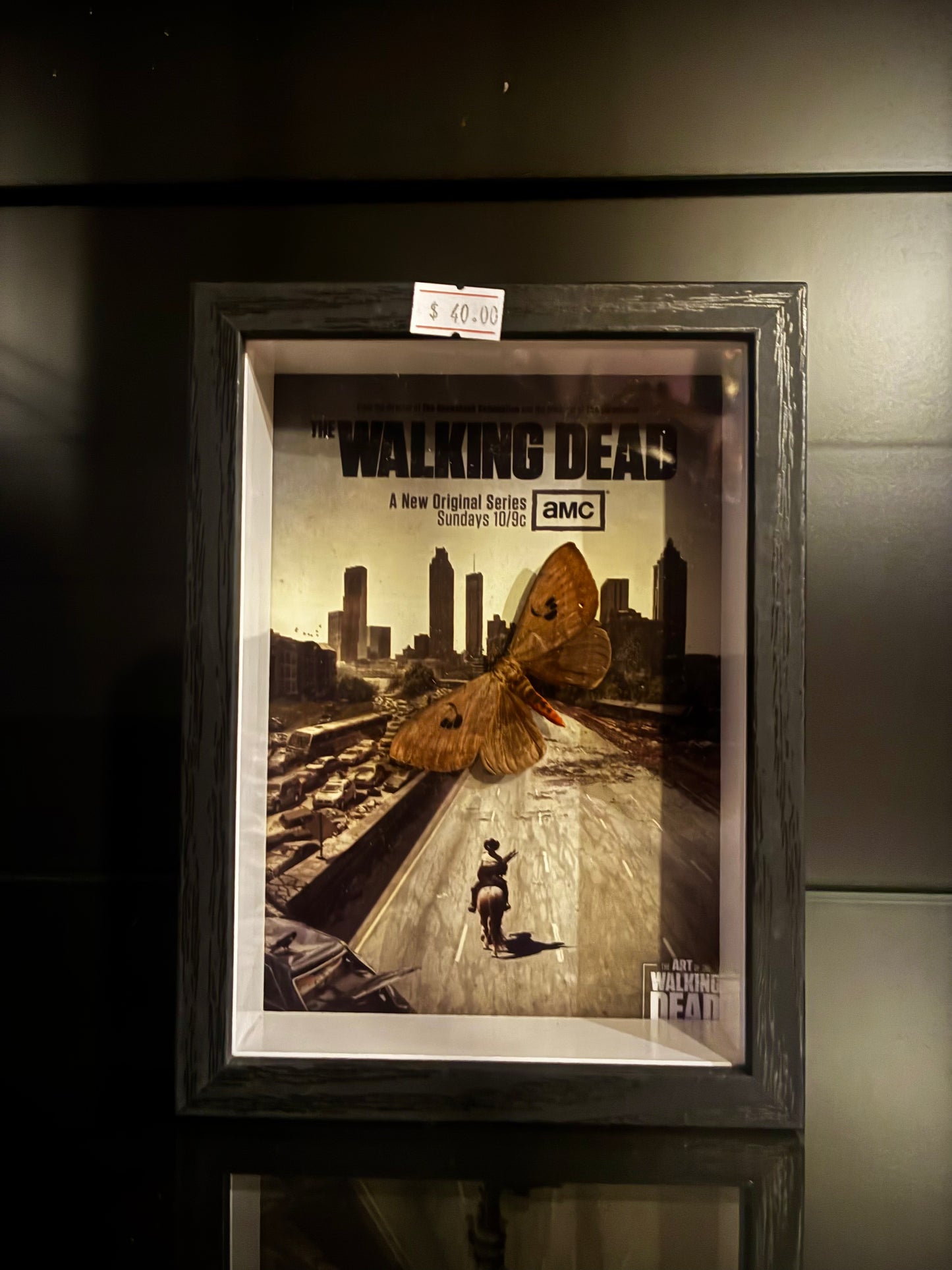 Twd butterfly frame