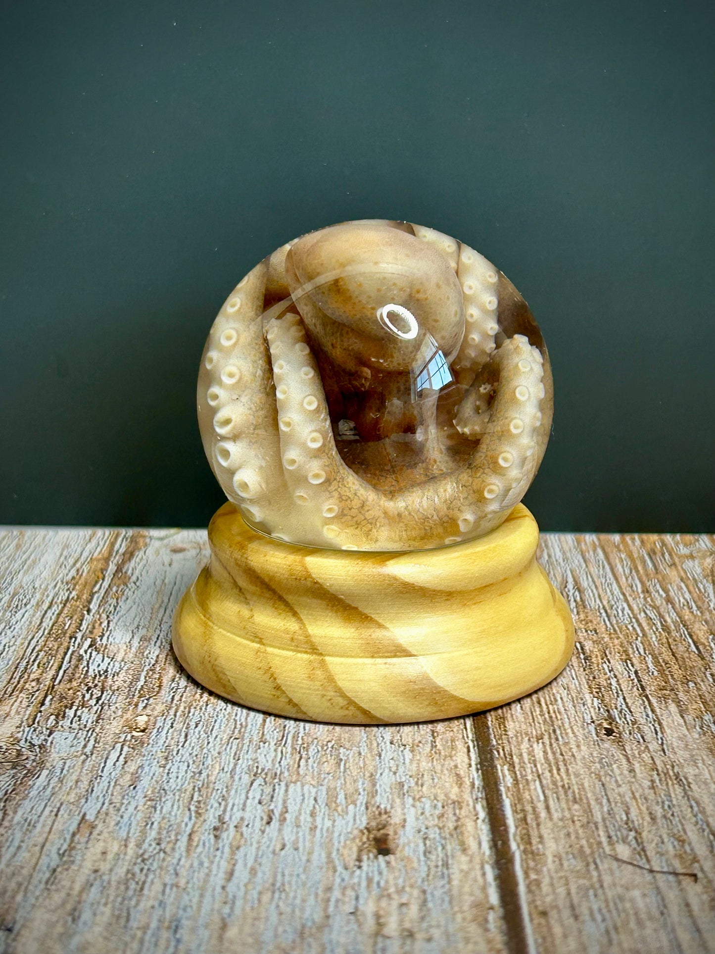 Octopus Globe