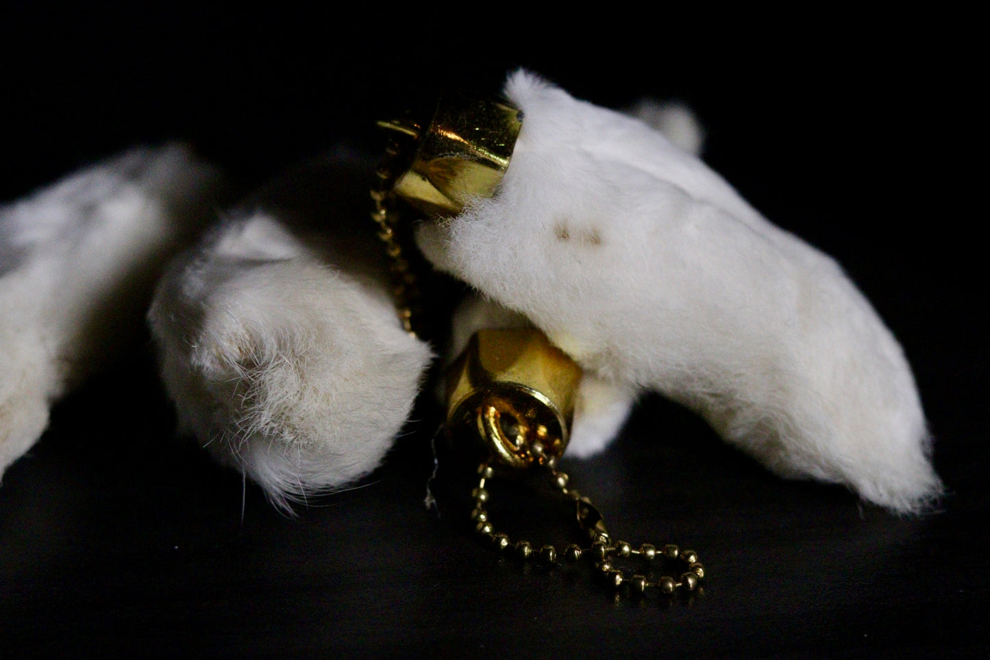 Rabbits foot keychain