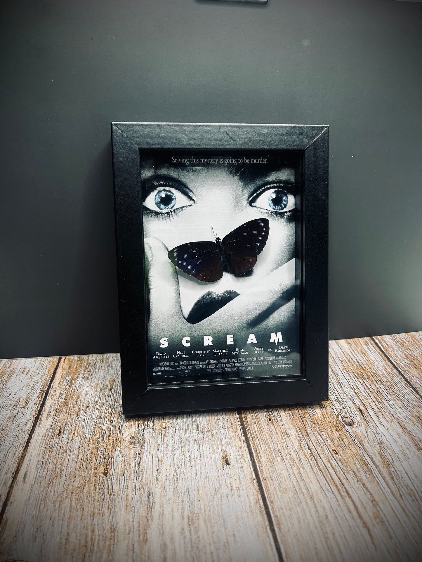 Custom movie/butterfly frame