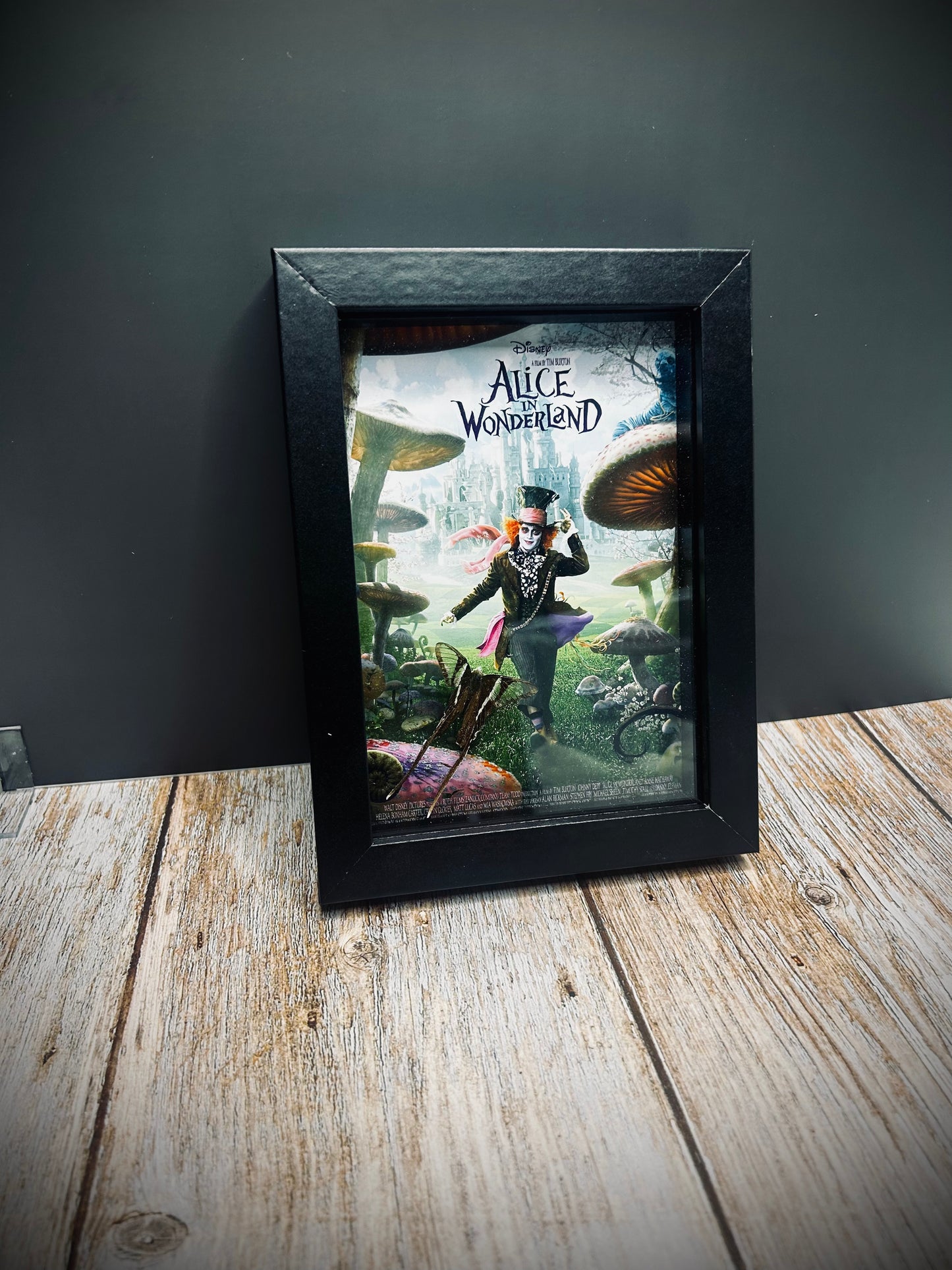 Custom movie/butterfly frame