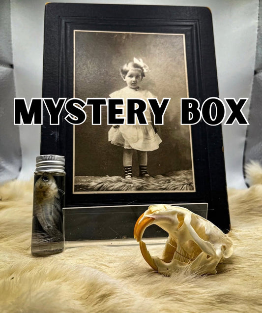 Mystery box