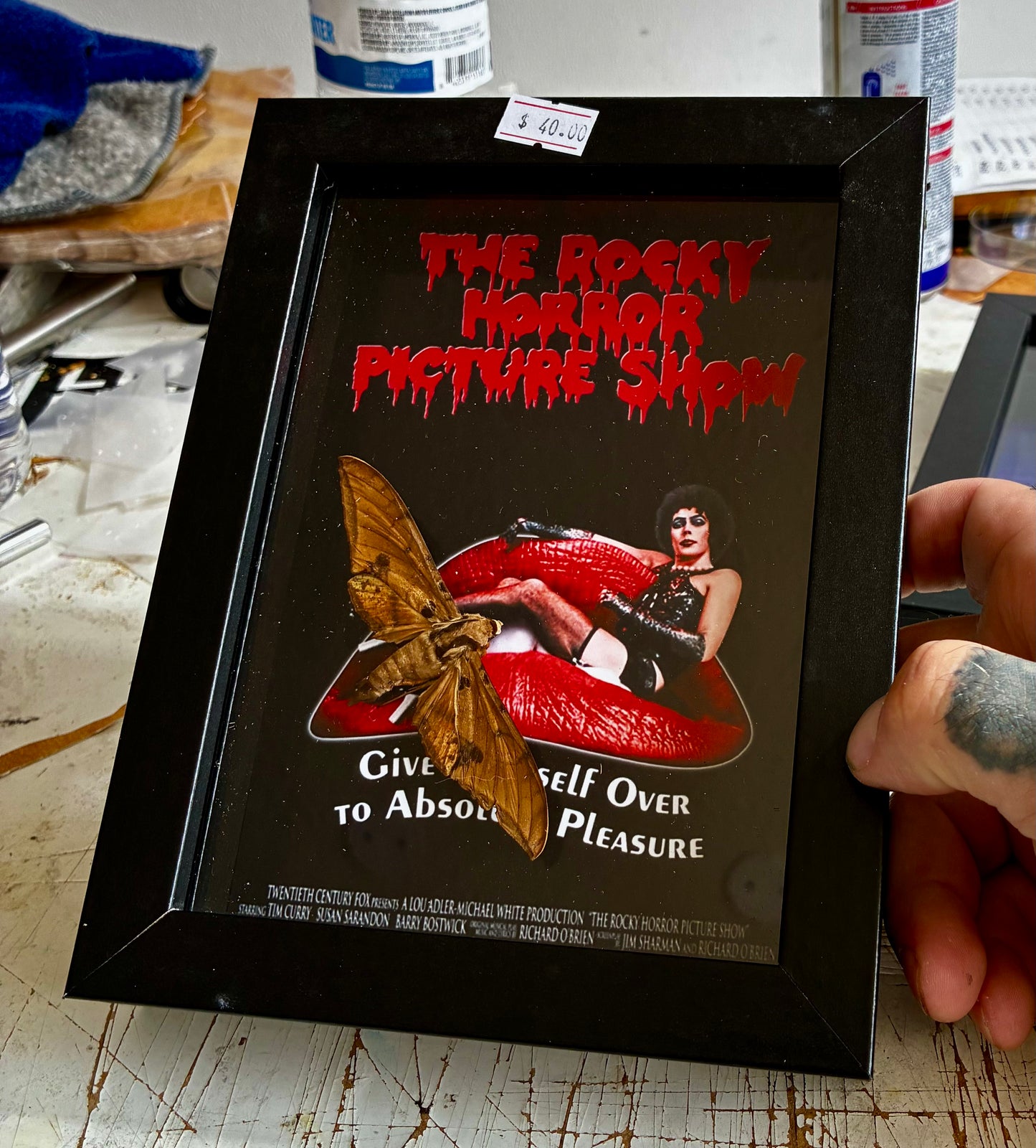 Rocky horror moth frame
