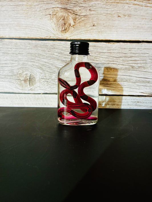 Bamboo rat snake wet specimen