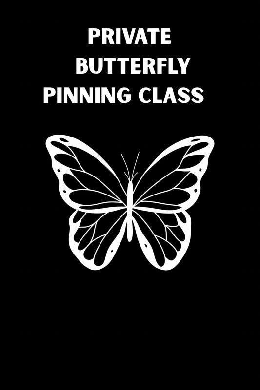 Large butterfly pinning class
