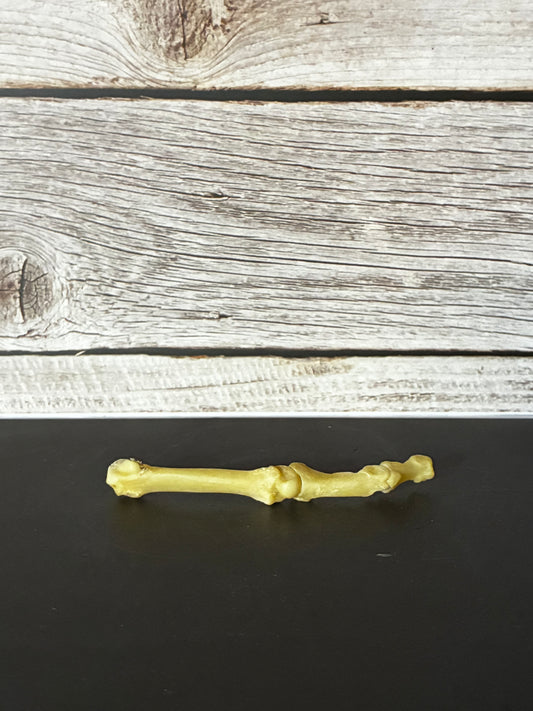 Cougar finger bone