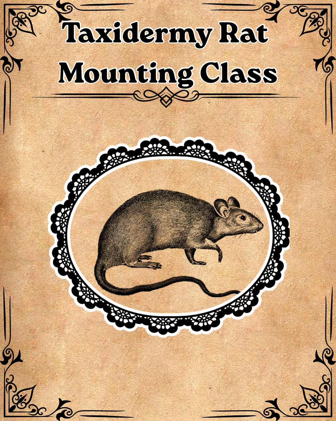 Ray Mounting class