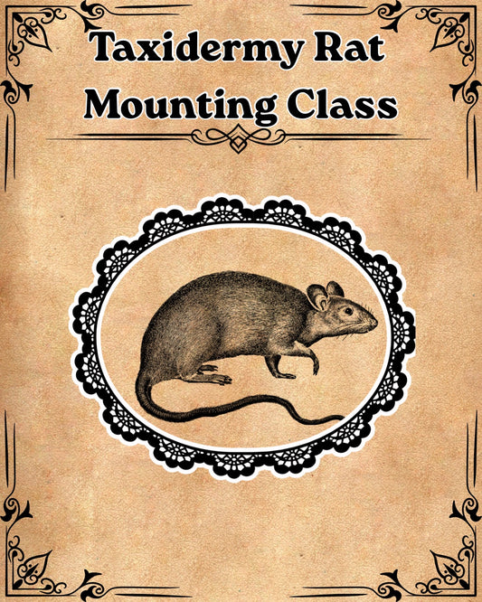 Rat Mounting class