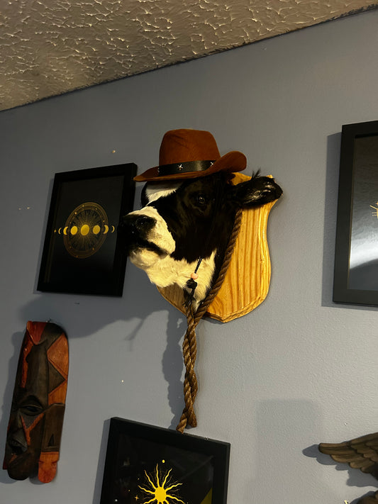 Calf / cow mount